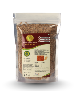 Kedars Product Khapli Wheat/Emmer wheat/ Whole Emmer Wheat / Jod gahu