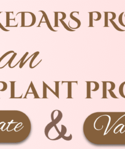 Vegan Protein Powder