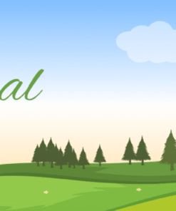 Natural Sweeteners