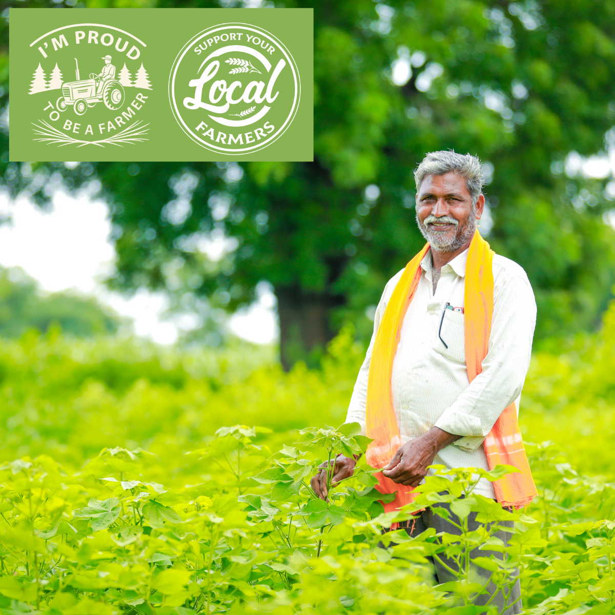 KEDARS PRODUCT Organic Chana Dal | Protein Rich, High Fiber, 100% Natural, Farm Fresh, Desi Taste, Healthy Pulses - Image 5
